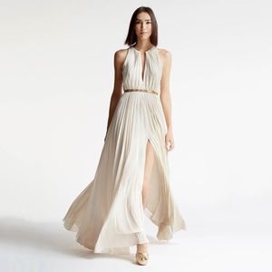 halston • parchment gold arch belted pleated dress